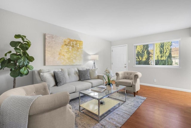 living room with hardwood / wood-style flooring