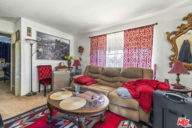 view of carpeted living room