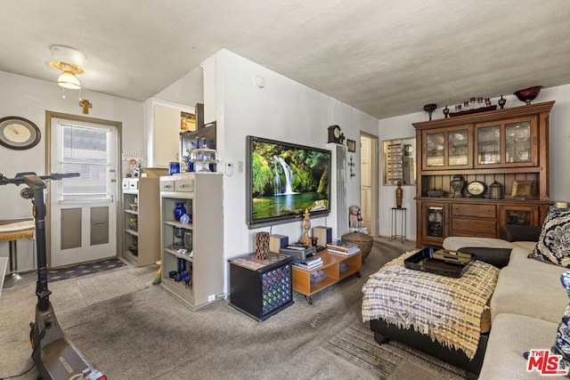 living room featuring a textured ceiling and carpet flooring