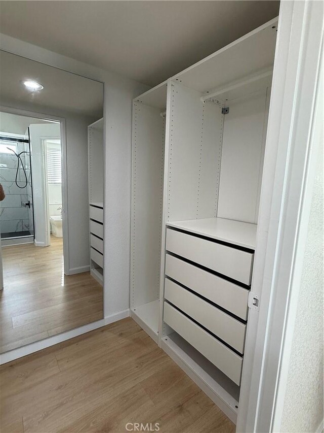 spacious closet featuring light hardwood / wood-style floors