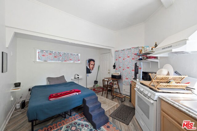 bedroom with ornamental molding and hardwood / wood-style floors