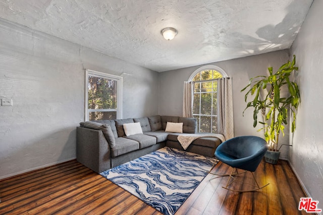 living room featuring a healthy amount of sunlight, a textured ceiling, and hardwood / wood-style floors