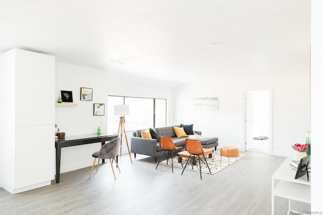 living room featuring light hardwood / wood-style floors