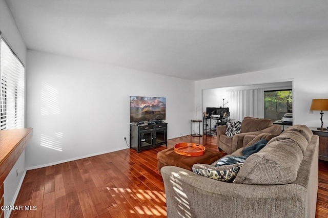 living room featuring hardwood / wood-style flooring