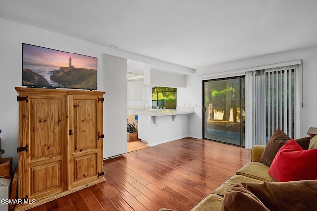 living room featuring hardwood / wood-style flooring