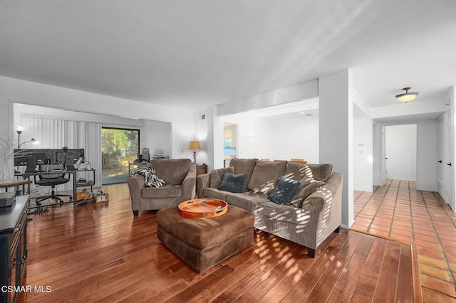 living room featuring wood-type flooring