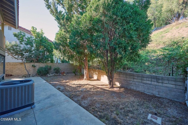 view of yard featuring a patio area and central AC