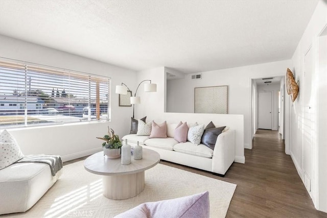 living room featuring dark wood-type flooring