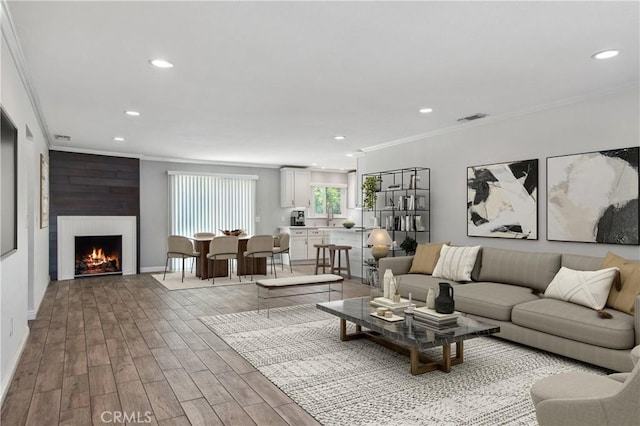 living room featuring sink, crown molding, and a fireplace