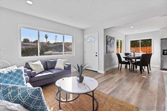 living room with plenty of natural light and light hardwood / wood-style flooring