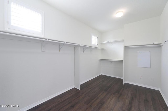 spacious closet with dark hardwood / wood-style floors