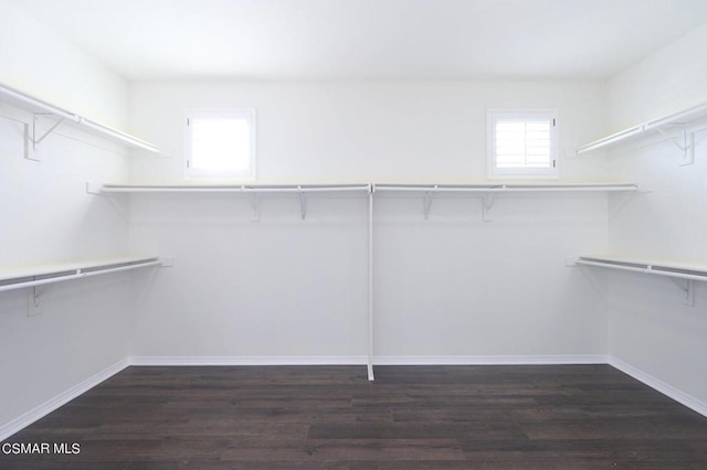 spacious closet with dark hardwood / wood-style flooring