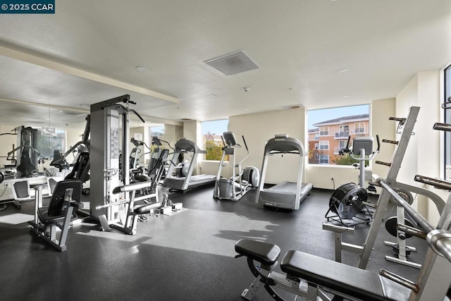 exercise room featuring a wealth of natural light