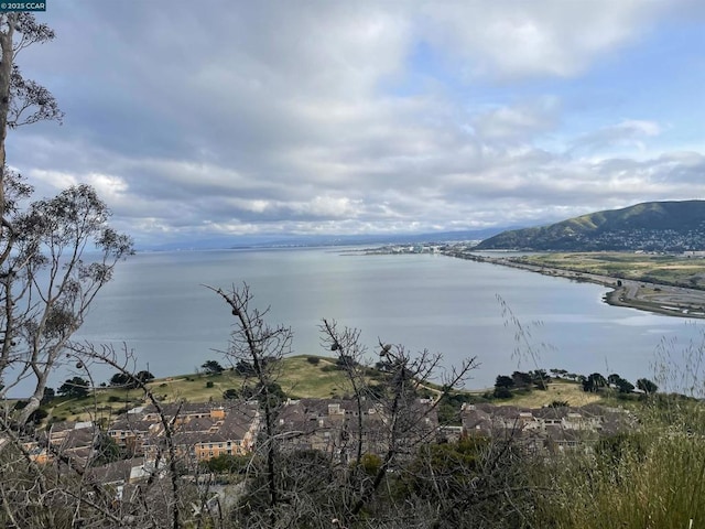 water view featuring a mountain view