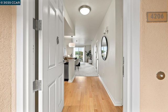 hall with light hardwood / wood-style floors