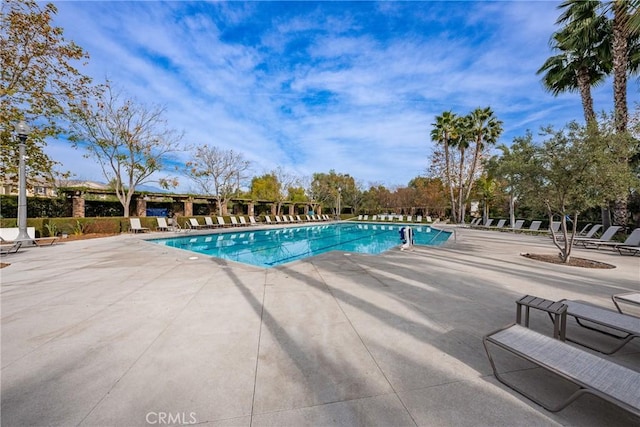 view of pool featuring a patio area