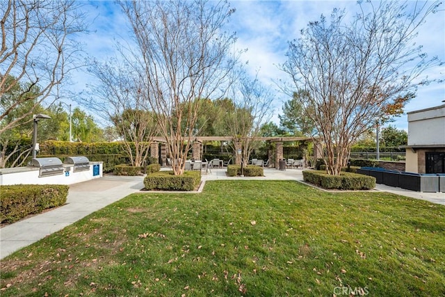 view of yard with a patio area and exterior kitchen