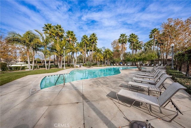 view of pool featuring a patio area