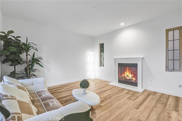 living room featuring wood-type flooring