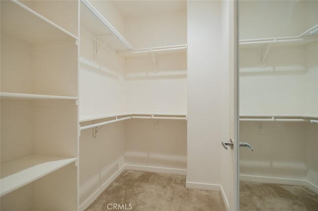 walk in closet featuring carpet flooring