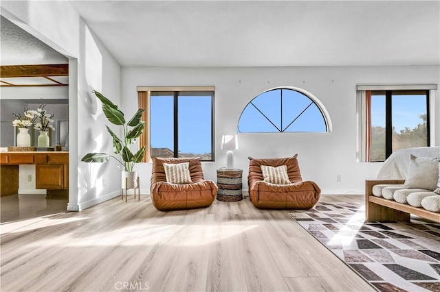 sitting room with light wood-type flooring