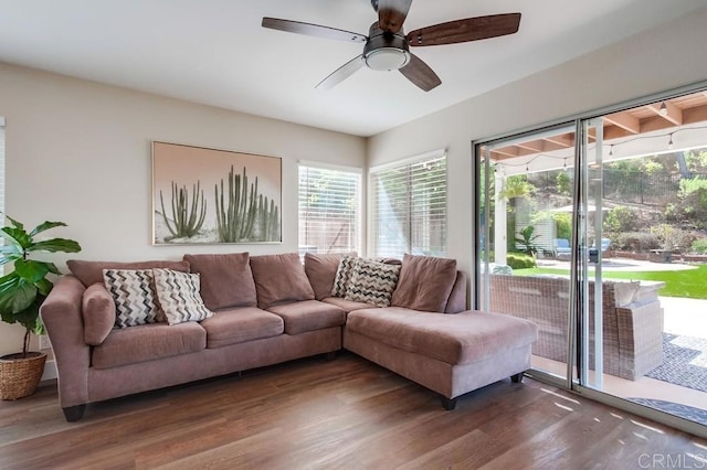 living room with ceiling fan and dark hardwood / wood-style floors