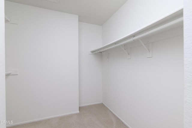 spacious closet featuring light carpet