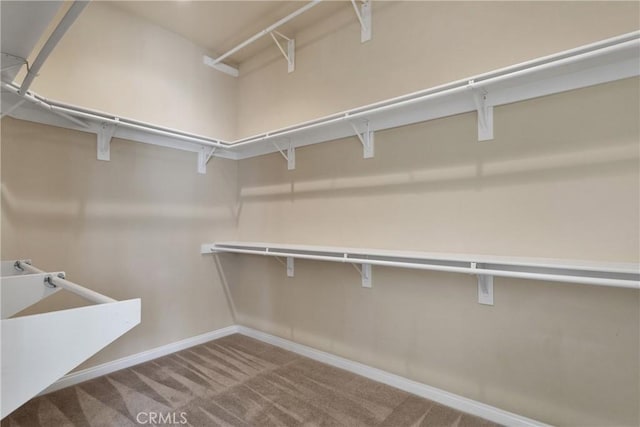 walk in closet with light colored carpet