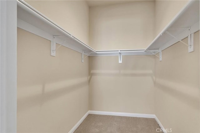 19269 Galloping Hill Rd, Apple Valley, CA 92308 - spacious closet featuring carpet