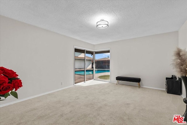 interior space with light carpet and a textured ceiling