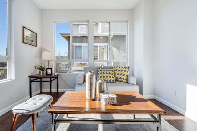 living room with a wealth of natural light and hardwood / wood-style floors