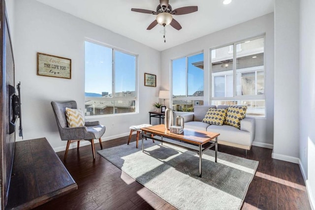 living area with plenty of natural light, ceiling fan, and dark hardwood / wood-style flooring