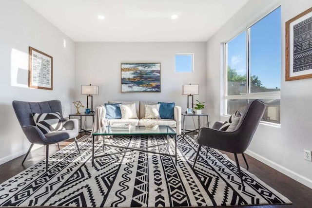 living room with hardwood / wood-style floors