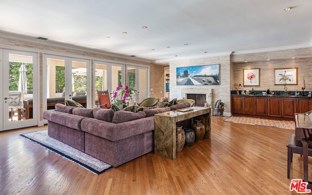 living room with light wood-type flooring, a healthy amount of sunlight, french doors, and a large fireplace