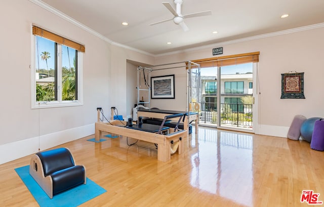 office area featuring ceiling fan, ornamental molding, and hardwood / wood-style floors