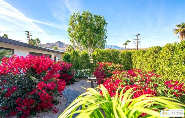 view of yard with a mountain view