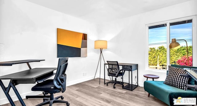 office space featuring hardwood / wood-style flooring