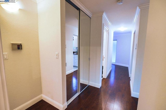 corridor featuring dark wood-type flooring and crown molding