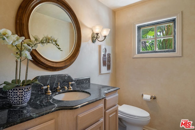 bathroom with toilet and vanity