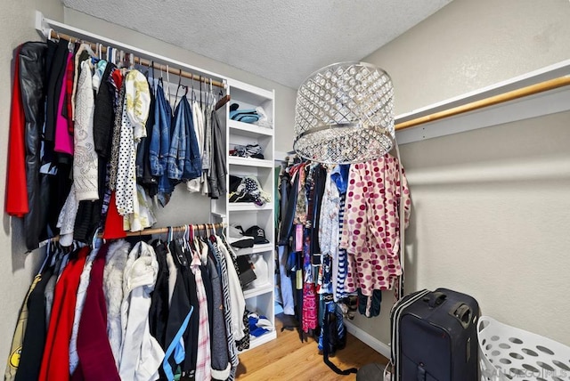 spacious closet featuring hardwood / wood-style floors