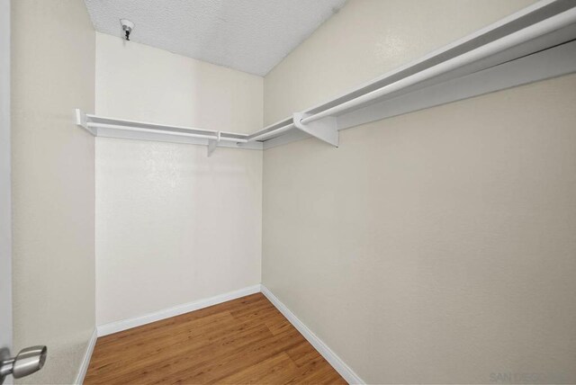 spacious closet featuring hardwood / wood-style floors