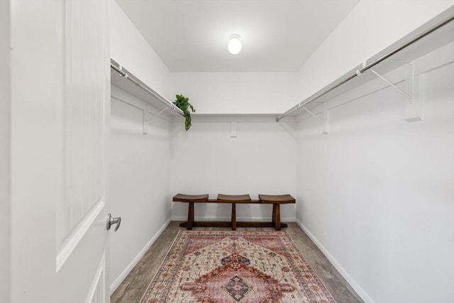 walk in closet with hardwood / wood-style floors