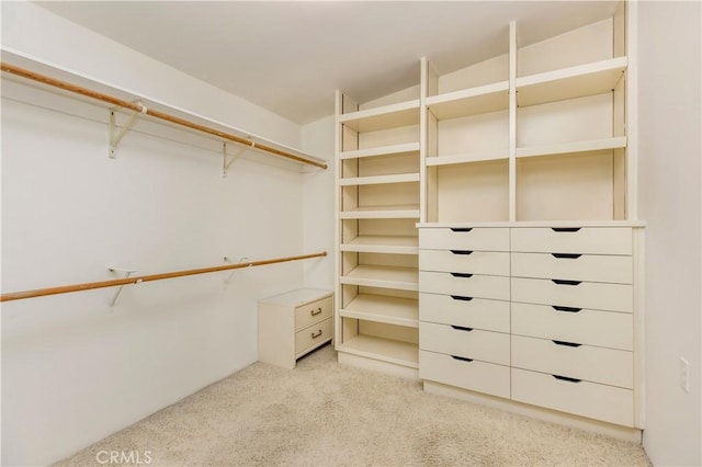 walk in closet featuring light colored carpet