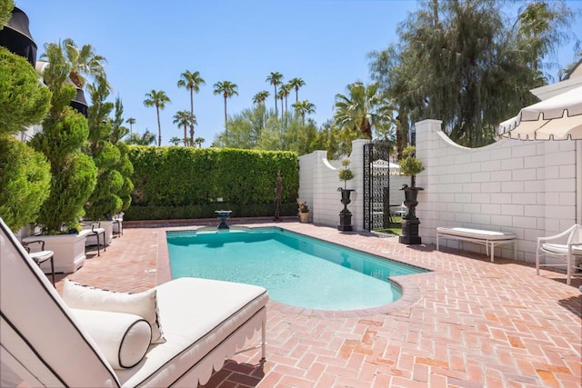 view of pool featuring a patio area