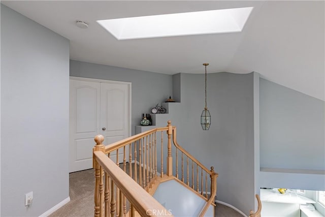 stairs with lofted ceiling with skylight and carpet floors