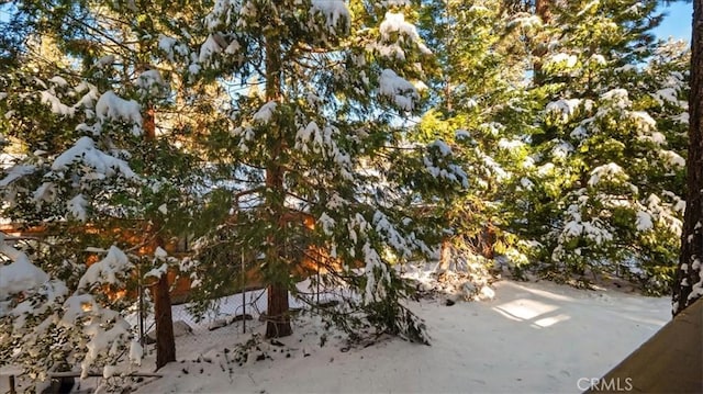 view of snowy landscape