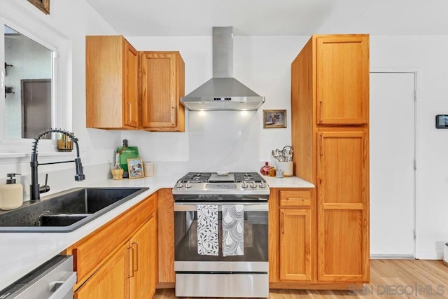 kitchen featuring wall chimney exhaust hood, sink, stainless steel appliances, and light hardwood / wood-style flooring