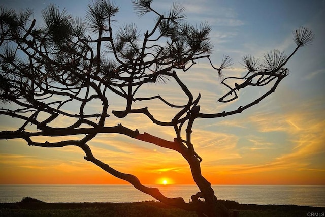 nature at dusk with a water view