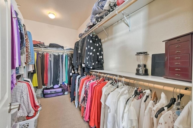 spacious closet with light carpet