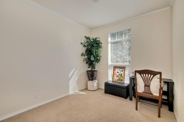 living area featuring crown molding and light colored carpet